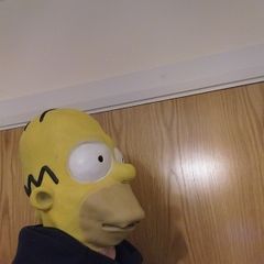 Homer Simpson Halloween Mask