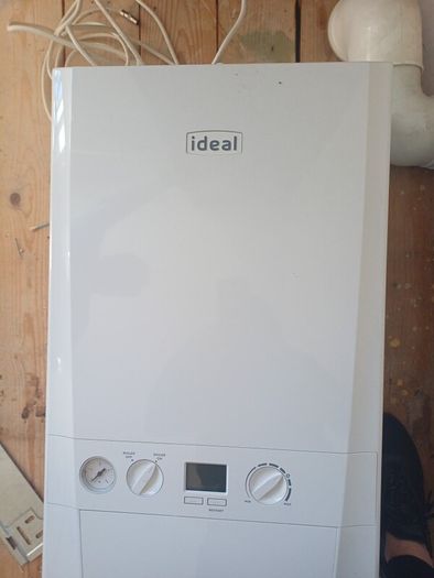 Gas Boiler & Flu