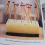 Heston Blumenthal / Fantastical  Feasts/ 2010 Image 7