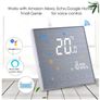 Wifi Smart Digital Temperature Controller Image 3