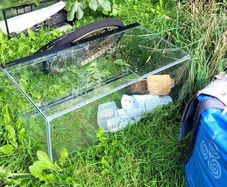 fish tank with crack