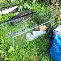 fish tank with crack