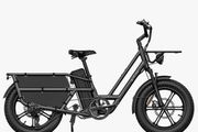 FIIDO T2 Longtail Cargo Electric Bike