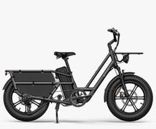 FIIDO T2 Longtail Cargo Electric Bike