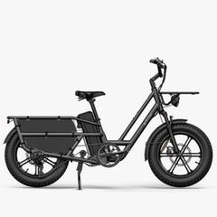 FIIDO T2 Longtail Cargo Electric Bike