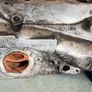 GTD cuna VRS cupa engine bits Image 2