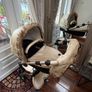 Pram Image 5
