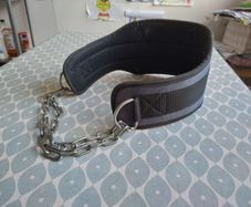 Madmax Dip Belt
