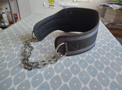 Madmax Dip Belt