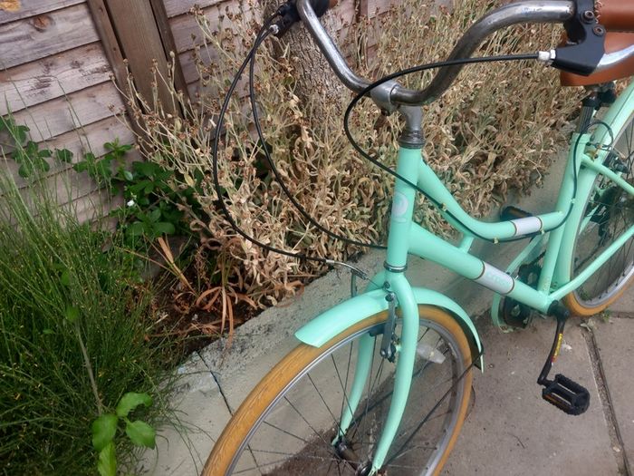 ladies bike