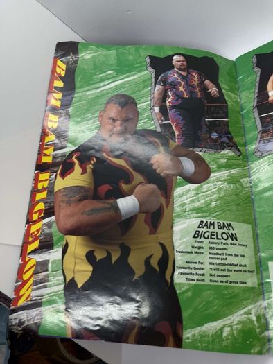 Wwe WWF European spring Tour 1993 Official souvenir Programme