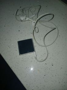 Apple IPOD no charger
