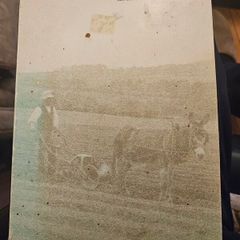 The Changing Land. By Charles  F. Deacon. The Book Is About Agriculture And Farm Life In County Wexford, Ireland.  First Edition Hardback In Good Condition.  See Photos For Same.