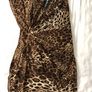 Leopard Print Dress Image 2