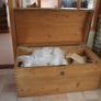 Antique Pine Chest Image 4