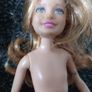 barbie bundle Image 8