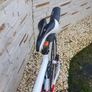 Cube bike Image 2