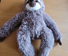 Cute Sloth teddy