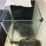 Fishtank, light and accessories Image 6