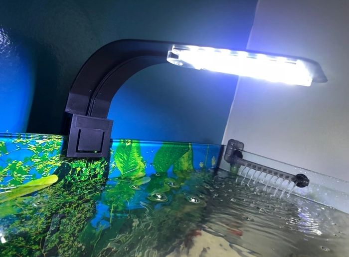 Aquarium light clip on 10w