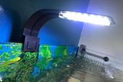 Aquarium light clip on 10w