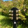 Epiphone Les Paul Custom Image 5