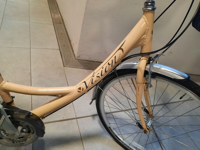 ladies city bike( can deliver)