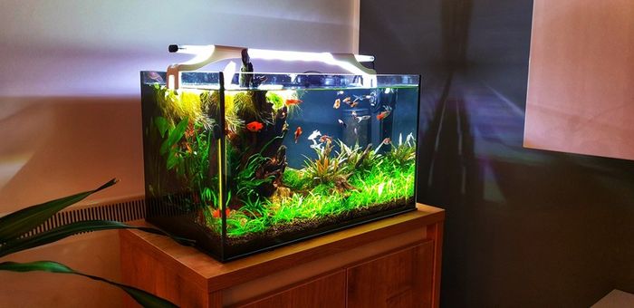 Aquael Turbo 500