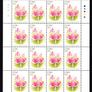2008 Ireland Fauna & Flora: Fungi Commemorative Stamp Sheetlet Plate 1A1A1A1A Mint Never Hinged (MNH) Image 3