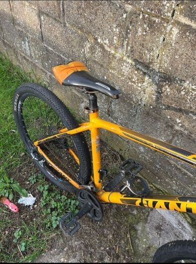 giant bike
