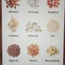 Plant Milk Maker Image 3