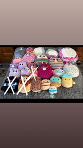 teddys