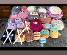 teddys
