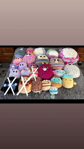 teddys