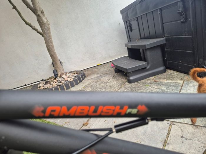 Bmx