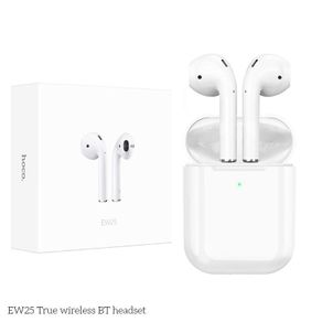 Hoco EW25 Bluetooth 5.3 In-Ear Binaural Noise Cancelling Headset
