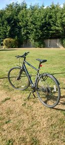 Cannondale quick disc 4 size L