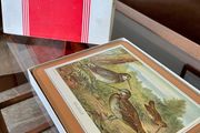 Six Traditional 20th Century Placemats by Pimpernel Gamebirds