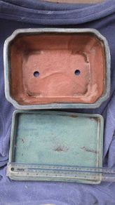 Large Bonsai Pot