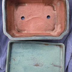 Large Bonsai Pot