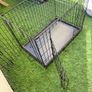 Dog Crate Image 4