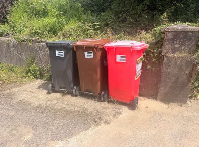 Wheelie Bins