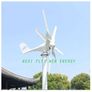 800W 48V Wind Turbine Generator with Controller 6 Blade Image 2