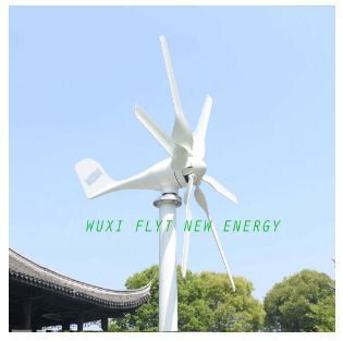 800W 48V Wind Turbine Generator with Controller 6 Blade