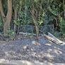 Galvanised Welded Wire Mesh Panels and galvanised steel posts/rails Image 4