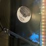 Clap Your Hands Say Yeah - Some Loud Thunder Image 2