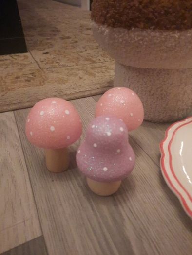 mushroom collection