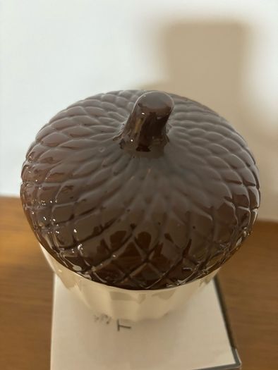 Brand New Acorn Mug