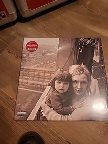 Gerry Cinnamon the bonny red vinyl