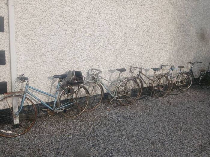Vintage Bicycles